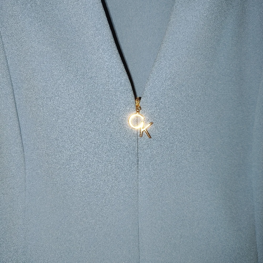 Calvin Klein Dress - Picture 3 of 4